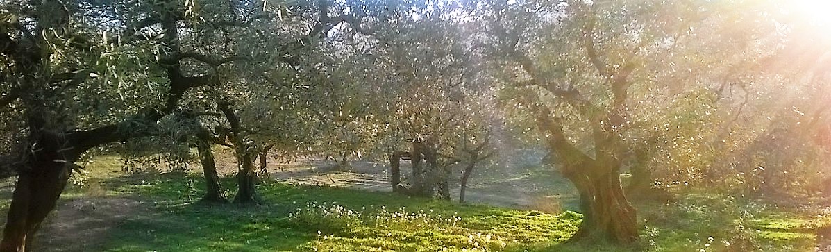 hébergements hiver stage montessori vaison la romaine