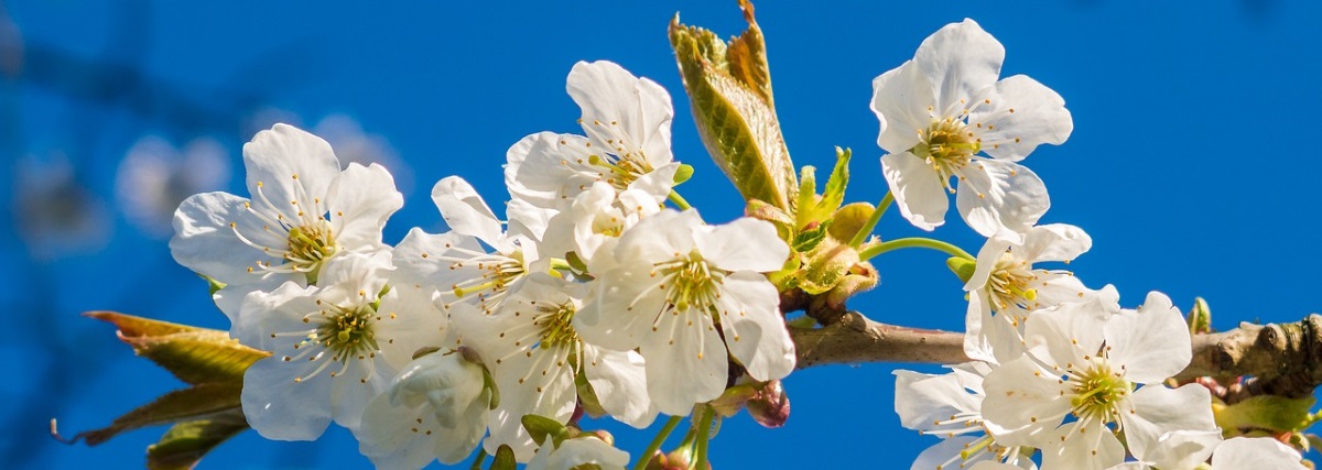 hébergements printemps stages montesssori vaison la romaine